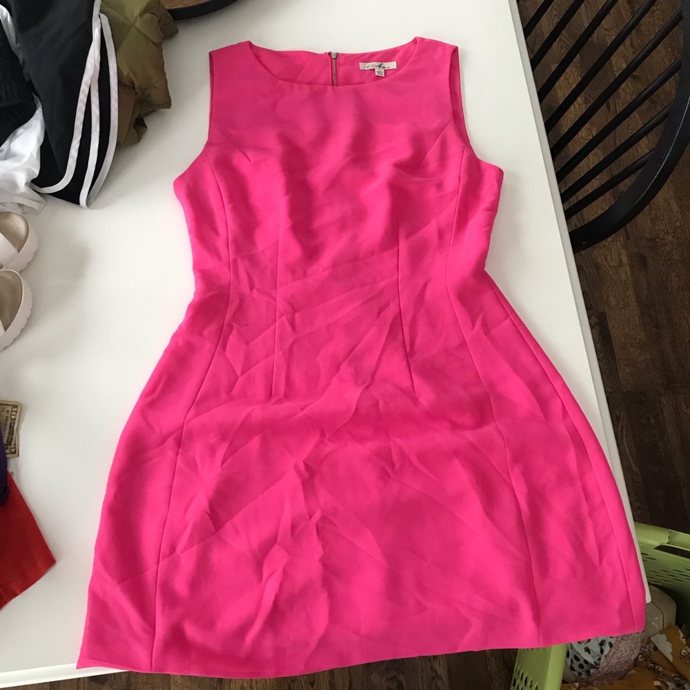 hot pink dress